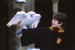 Harry Potter 12.jpg
